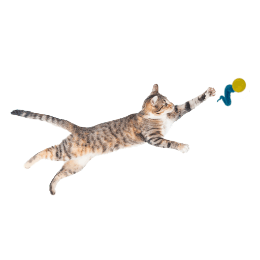 🐱🎾 Wiggly Pings Cat Toys – Jingle Balls with Wiggling Tails