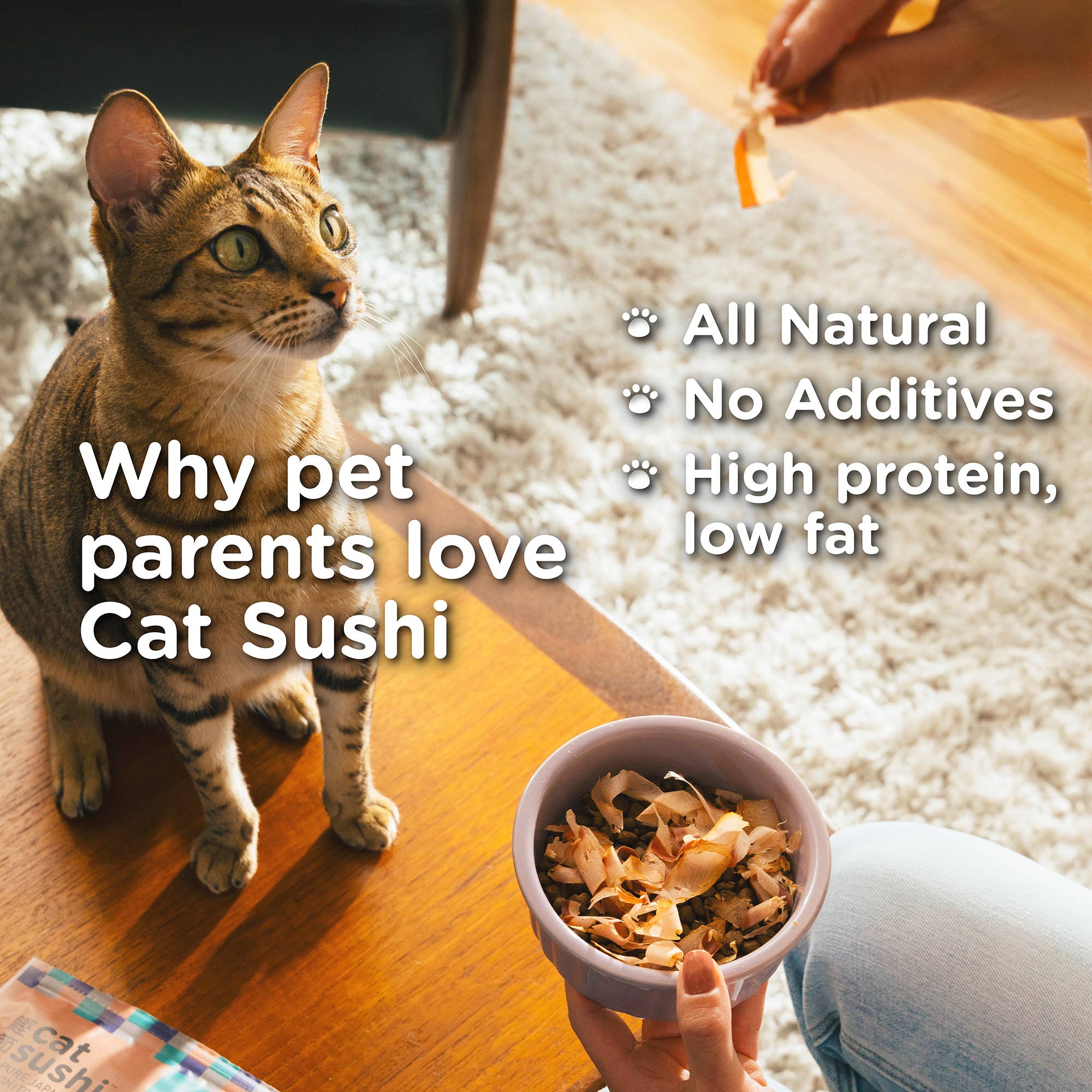 🐟🐱 Cat Sushi Bonito Flakes