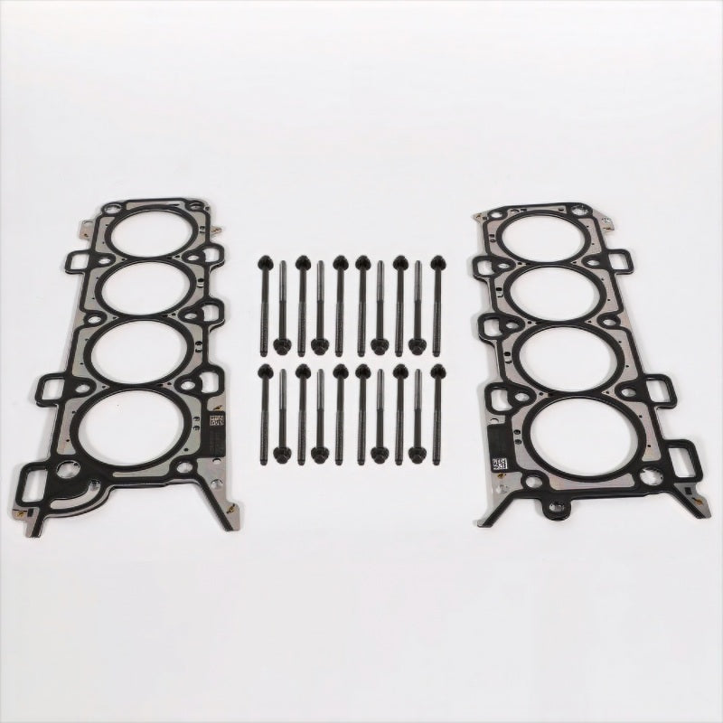 Ford Racing 18-21 5.0L Coyote Head Changing Kit - 12mm Head Bolts M-6067-M5018