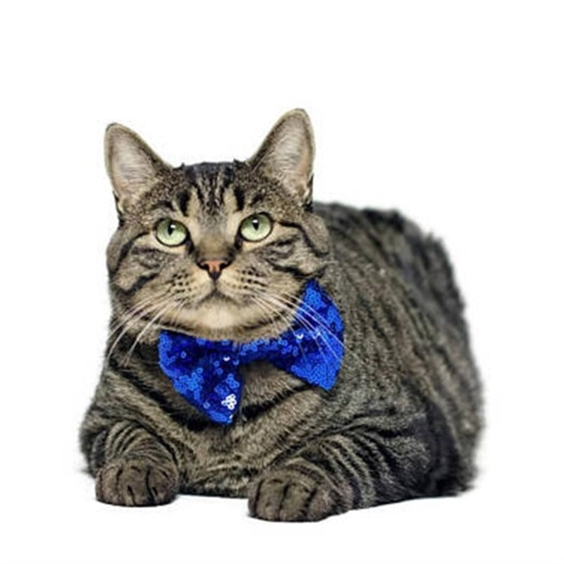 Pet Party Birthday Hat Dog Crown Cat Birthday Hat Pet Crown