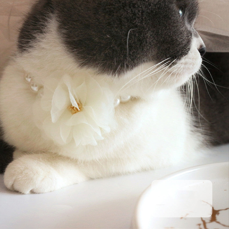 Pet Cat Dog Cute Retro Big Flower Collar Necklace