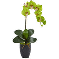 Phalaenopsis Orchid Artificial Arrangement in Black Vase