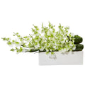 Dancing Lady Orchid in Rectangular Ceramic
