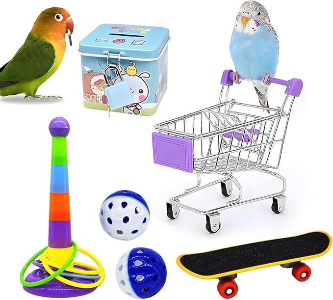 6pcs Interactive Puzzle Toy Set for Small Parrots - Training, Stress Relief, Include Coin Box, Bell Ball, Skateboard & Ferrule Toy for Bird Budgies, Cockatiels, Parakeet etc - PhishStones Products