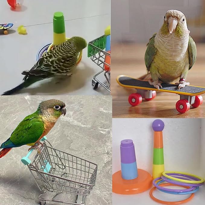 6pcs Interactive Puzzle Toy Set for Small Parrots - Training, Stress Relief, Include Coin Box, Bell Ball, Skateboard & Ferrule Toy for Bird Budgies, Cockatiels, Parakeet etc - PhishStones Products