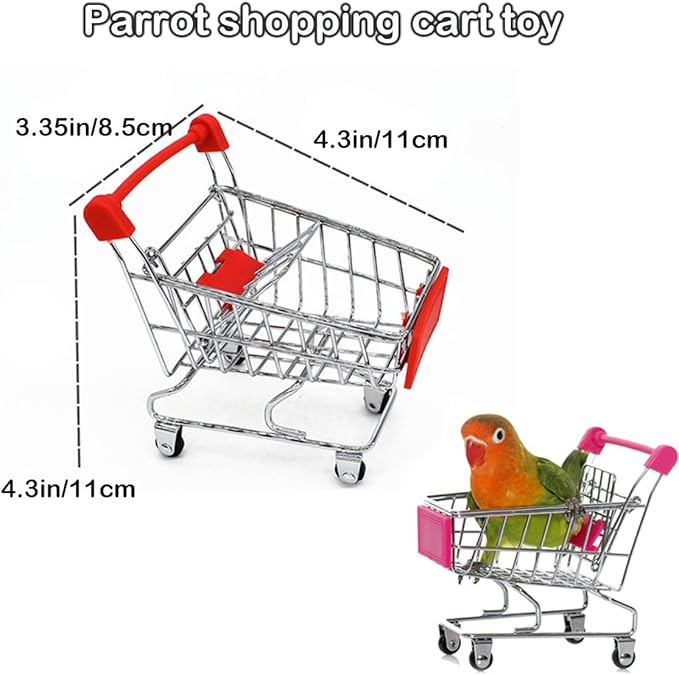 6pcs Interactive Puzzle Toy Set for Small Parrots - Training, Stress Relief, Include Coin Box, Bell Ball, Skateboard & Ferrule Toy for Bird Budgies, Cockatiels, Parakeet etc - PhishStones Products