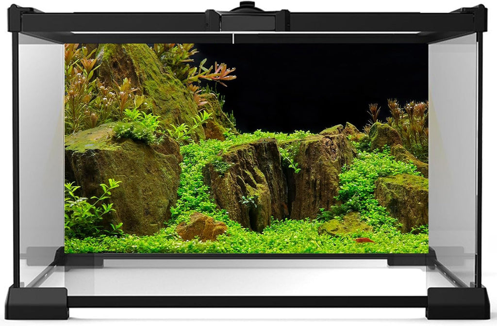Aquarium Background Exquisite Underwater Grass with Moss Aquarium Backdrop Mysterious Stone Aquarium Background Durable Vivid and Fresh Leaves Background Tank Backdrop Decor Vinyl 24x16in