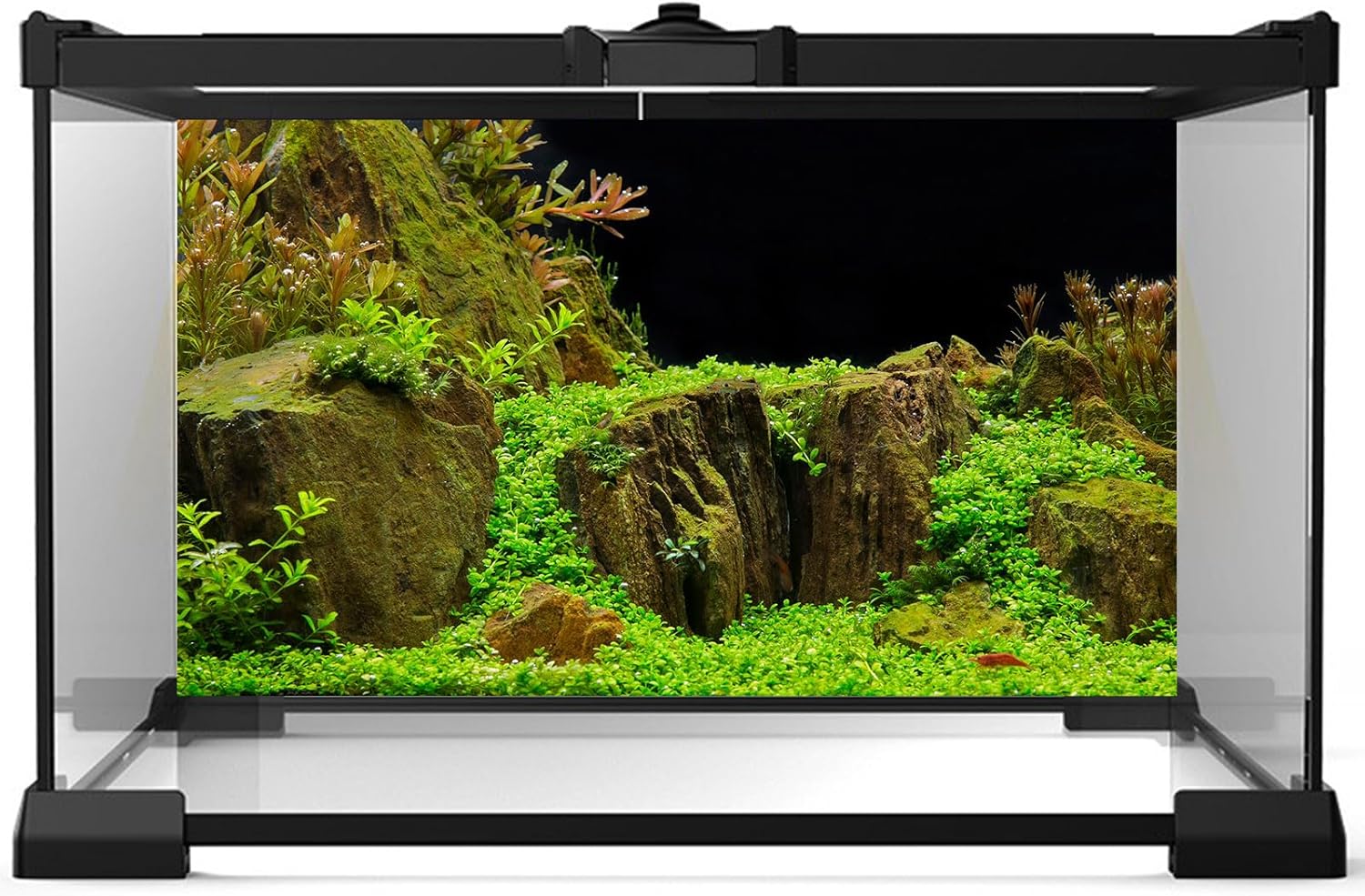 Aquarium Background Exquisite Underwater Grass with Moss Aquarium Backdrop Mysterious Stone Aquarium Background Durable Vivid and Fresh Leaves Background Tank Backdrop Decor Vinyl 36x20in