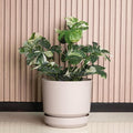 Elly Décor 10 inch Plastic Cylinder Planter Pot with Self-Watering Saucer and Drainage Hole,Lightweight & Extremely Durable, 10"x 10", Ivory