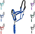 Majestic Ally Leather Halter with Matching Lead Rope for Horses – Leather Breakaway Crown - Adjustable Chin Strap – Rolled Throat Latch – Padded Noseband – Full (Royal Blue, Full)
