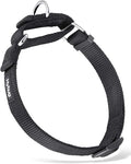Heavy Duty Anti-Escape Martingale Collar Dog for Large Breeds Dogs - Walking Training Daily Use.(Large,Black)