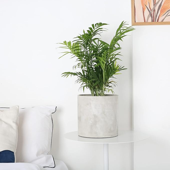Plant Pots - 7.7 inch Cement Planters Indoor - Modern Grey Flower Pot with Drainage Hole - Home Office Decor
