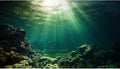Under The Sea Aquarium Background Underwater Fish Tank Background Ocean Floor Rock Cave Sunray Terrarium Backgrounds Tropical Fish Ocean World Aquarium Reptile Tank Backgrounds 48x18in