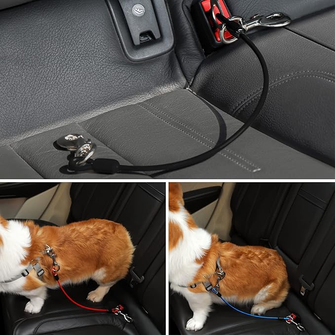 Dog Seat Belt Harness for Car,2pcs Dog Seatbelt of Coated Wire Leash Safety Restraint,No Chew Tether Cable Vehicle Dogs Accessories,Double Clips & Latch (Black, 24 inch/60 CM)