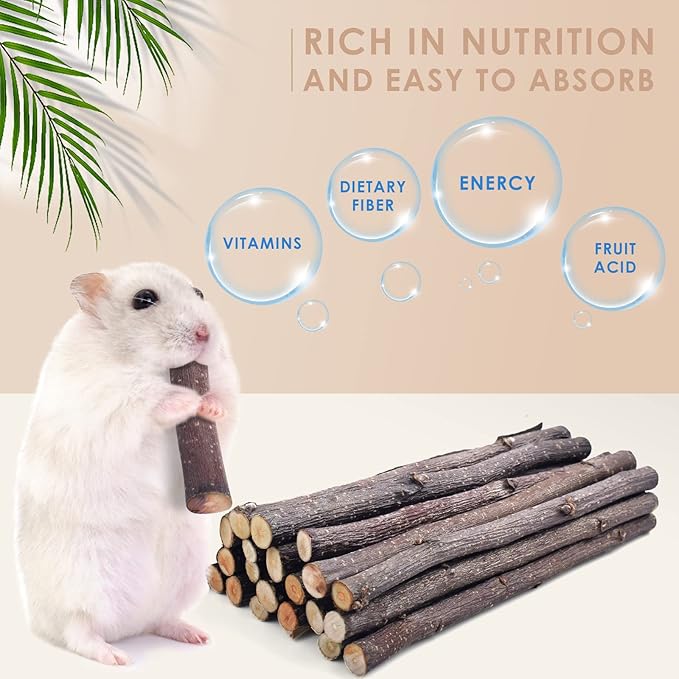 Bissap 120g/4.2oz Apple Sticks for Rabbits, Natural Bunny Chew Toys and Treats for Chinchilla Guinea Pig Hamster Gerbil Small Animals Pet Apple Wood Stick Toys Teeth Grinding