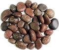 HappyFiller Natural Decorative Pebbles Polished Gravel Rocks Stones for Aquarium,Fish Turtle Tank,Outdoor Indoor Plants Top Dressing,Succulents Soil Cover,Garden Landscaping,2 LB,Red Mix