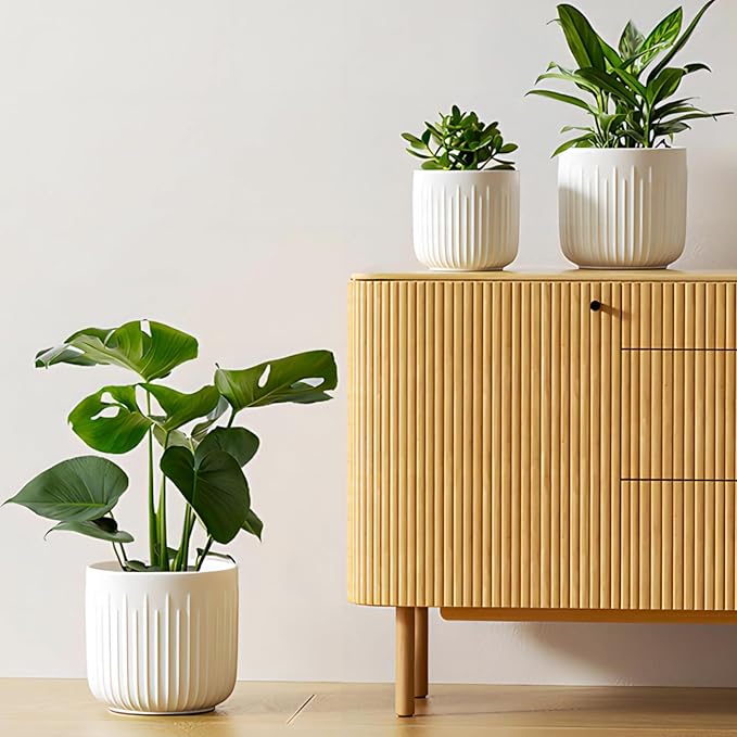 LE TAUCI Ceramic Planters, Set of 3 Plant Pots for Indoor Plants, 8.3+6.9+5.7 inch Flower Pots with Drainage Holes, Medium Cylinder Planters Pot for Indoor House Plants, White