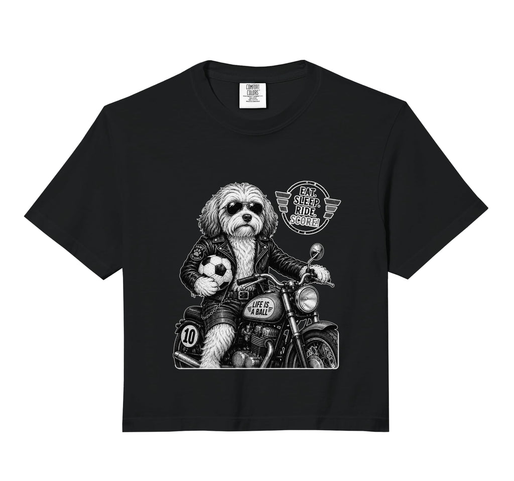 Havanese Motorbike Love Footbal Sweatshirt - Novelty Apparel for Adults