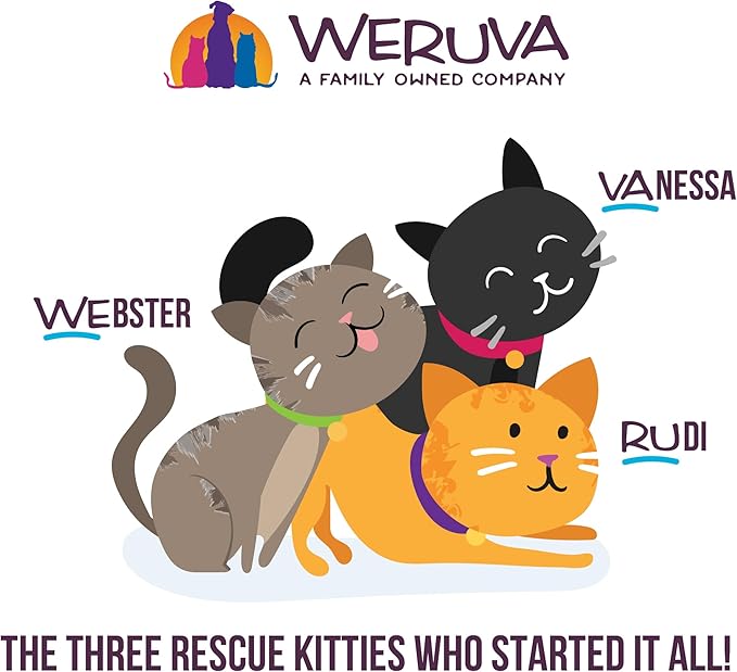 Weruva Cats in The Kitchen, Kitty Gone Wild with Wild Salmon Au Jus Cat Food, 3.2oz Can (Pack of 24)