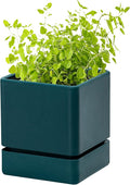 4 Inch Herb Planter Pot, Plastic Planter with Drainage Holes and Saucer, Modern Decorative Gardening Pot for Indoor Plants, Flowers, Herbs, Succulents, Green, Set of 1, 76-Y-C-1