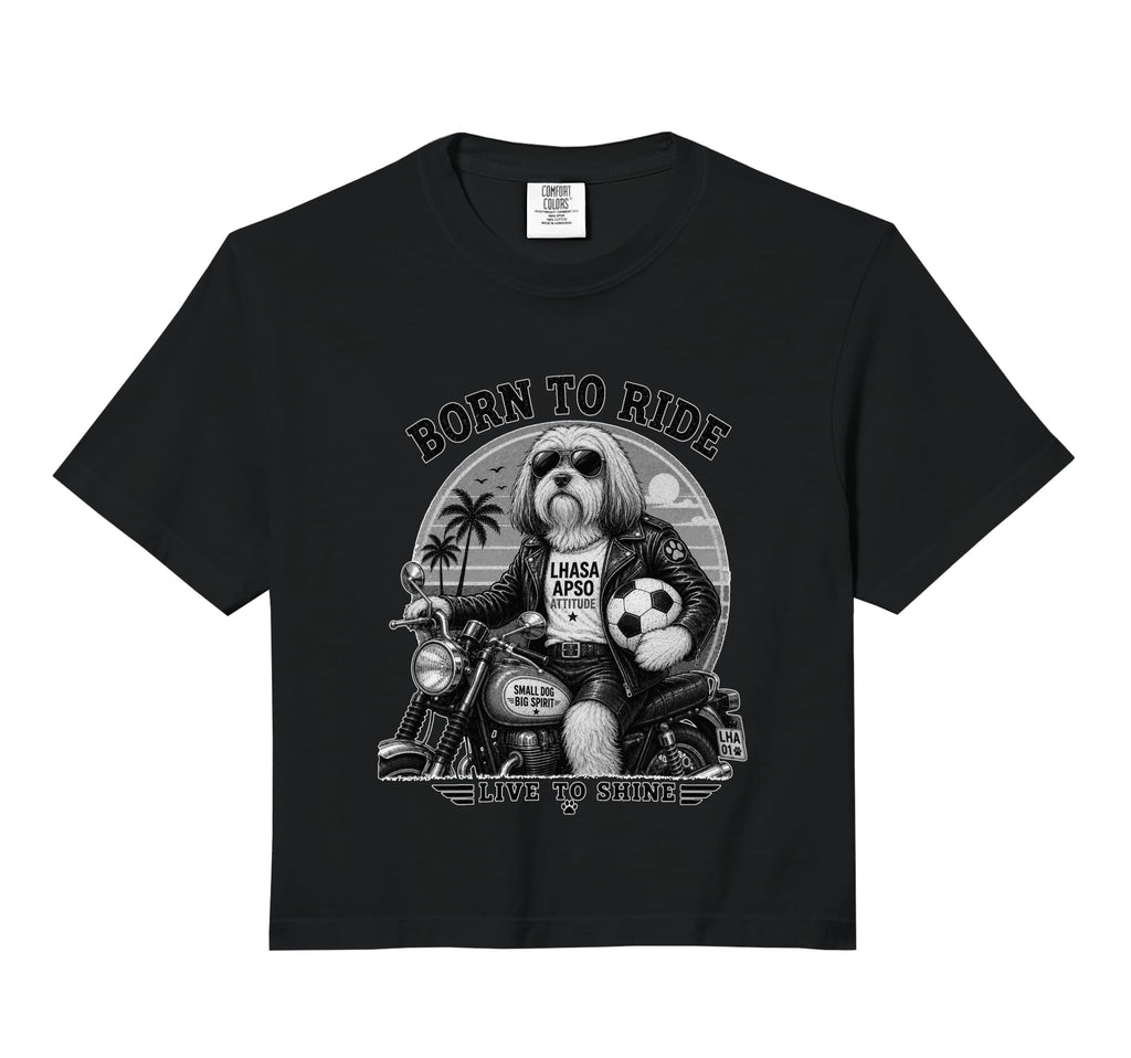 Lhasa Apso Motorbike Love Footbal Soccer Hoodie - Minimalist Print Unisex