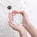 SIDONG 10 LB White River Rocks, 0.3-0.5 Inches Matte Pebbles for Indoor Plants, Aquarium Rocks Used in Fish Tank, Decorative Stones for Plants, Vases, Home Décor, Crafting, Garden Landscaping