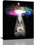 Funny Dog Wall Art Canvas Boston Terrier Wall Decor Prints Framed Painting Bulldog Galaxy Pictures Gifts Artwork for Bathroom 12"x16"