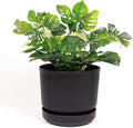 Elly Décor 12 inch Plastic Cylinder Planter Pot with Self-Watering Saucer and Drainage Hole,Lightweight & Extremely Durable, 12"x 12", Black