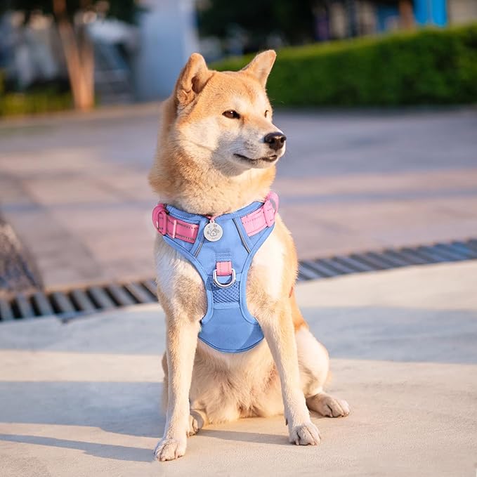 PHOEPET No Pull Dog Harness, Unique Colors Reflective Adjustable Dog Vest, with Soft Training Handle Metal Clips for Small Medium Large Dogs (Baby Blue Base & Pink Straps,S)