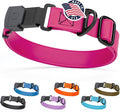 Dogline Biothane Waterproof Dog Collar with Herm Sprenger Stainless Steel Quick Release Buckle – Heavy Duty Tactical Durable Collar for Dogs – Comfortable and Safe Pet Collar, W 1" L 15-25", Magenta