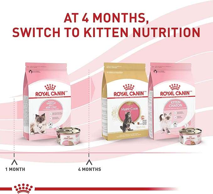 Royal Canin Feline Health Nutrition Mother & Babycat Ultra Soft Mousse in Sauce Canned Cat Food, 3 oz can (12-count)