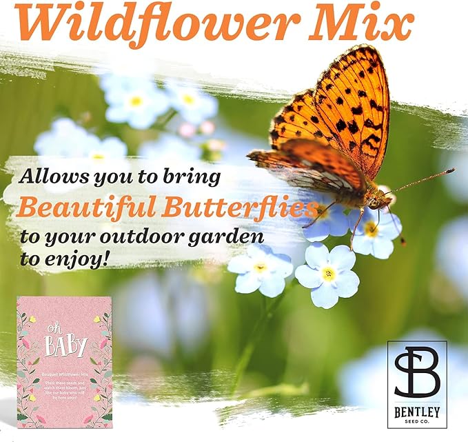 BENTLEY SEED CO. Oh Baby Flower Seeds Packets - Girl/Boy Baby Shower Favors - Pre-Filled, 25 Wildflower Seed Packs for Favor - Eco-Friendly Gift & Babys Guest Giveaways - Non-GMO Seeds - Pink Envelop