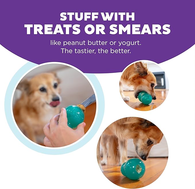 Outward Hound by Planet Dog Double-Tuff Interactive Treat-Dispensing Dog Toy, Medium, Blue