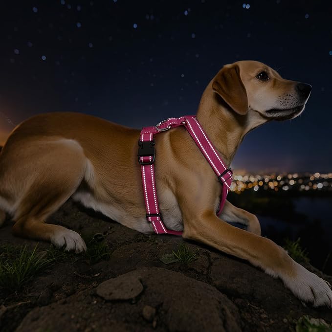 Dog Seat Belt Harness for Car, Dog Car Harness Adjustable Mesh Breathable & Dogs Seatbelt Safety Tether with Elastic Bungee for Small Medium Large Pets(Rose, S)
