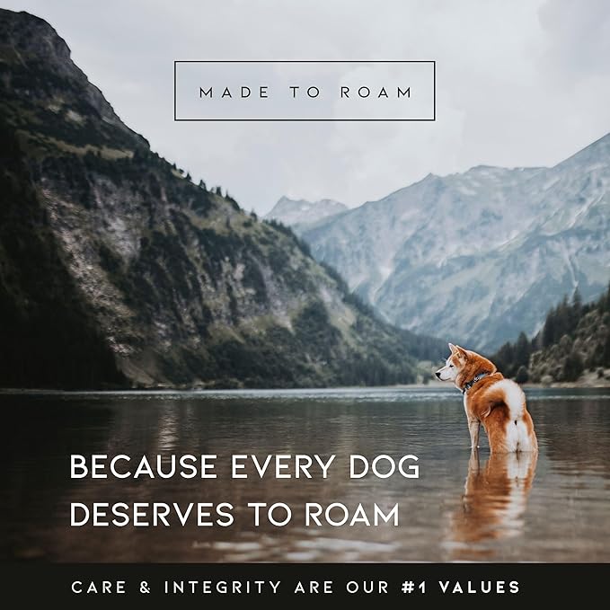 MADE TO ROAM Premium Explorer Harness - Y-Shaped Dog Harness with Adjustable Durable Nylon, Soft Padding, Metal Buckles and Leather Handle for Small, Medium, Large Dogs (Alaska Daybreak, Size 5)