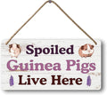 Big Hamster Ball & Guinea Pig Hideout - Stuffed Animals & Accessories for Guinea Pig Cage - 12x6 In Wooden Sign