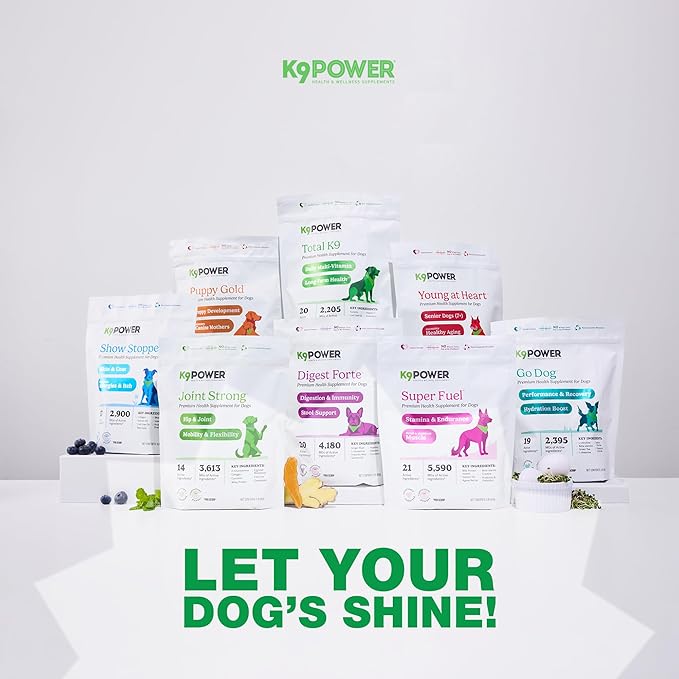 K9 Power Joint Strong Supplement 1 lb - Dog Joint Health & Mobility Support with Glucosamine, Curcumin, Chondroitin, Hip & Joint Pain Relief