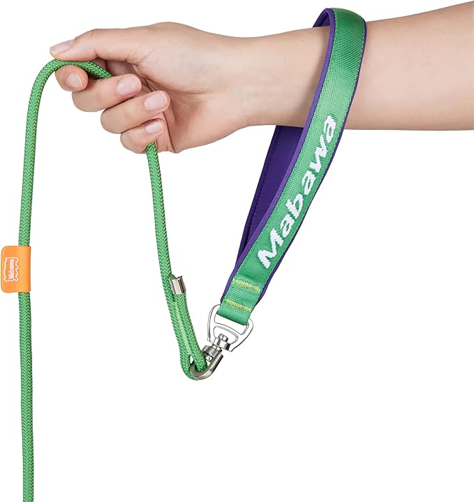 Dog Anti-Slip Leash 5FT with Metal Stopper - Durable No-Pull Training Lead for Small, Medium & Large Dogs - Comfortable Handle Nylon Rope, Tangle-Free Pet Walking Leash (Green, 5 FT)