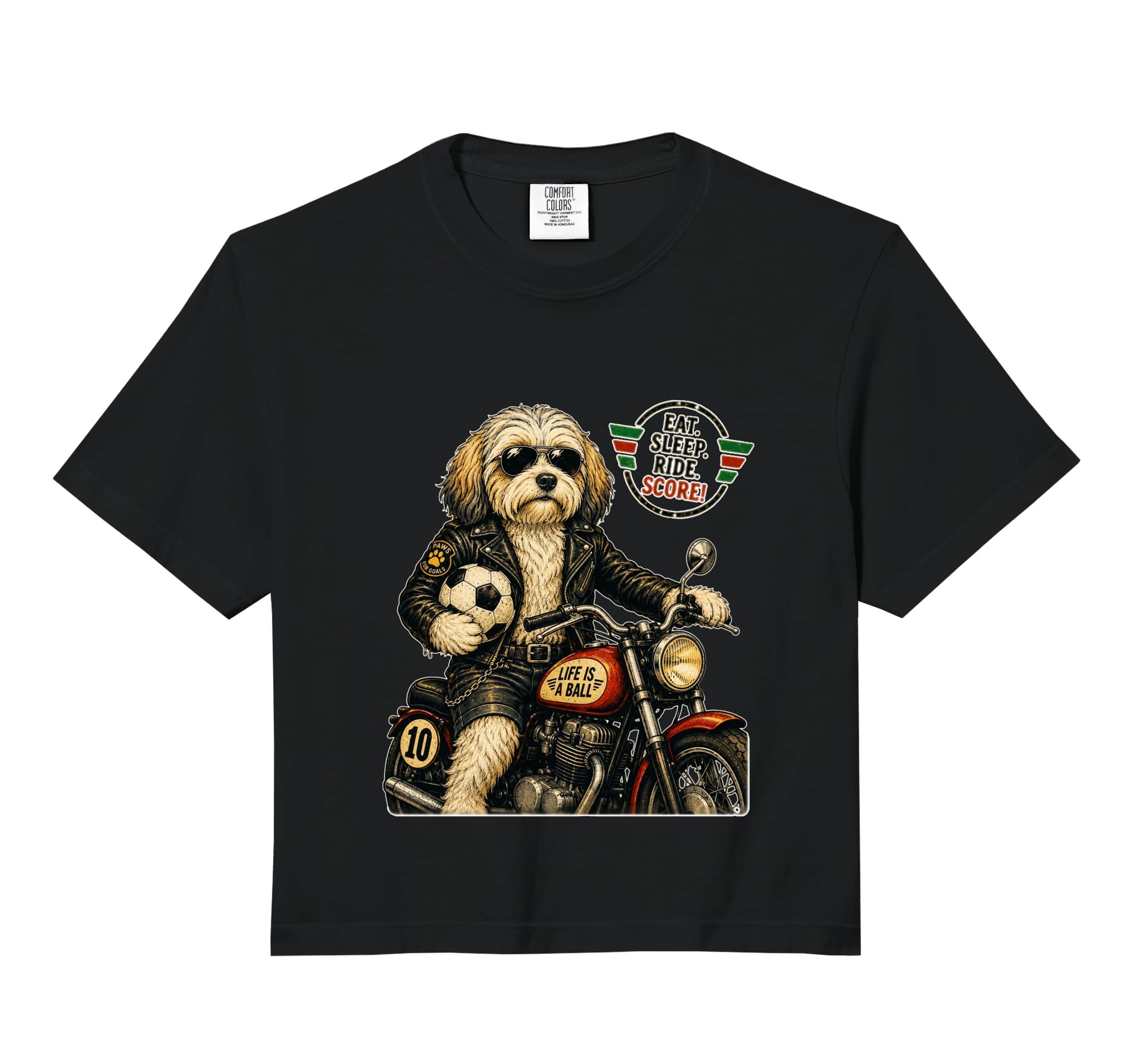 Havanese Motorbike Love Footbal Soccer Hoodie - Unique Graphic Unisex