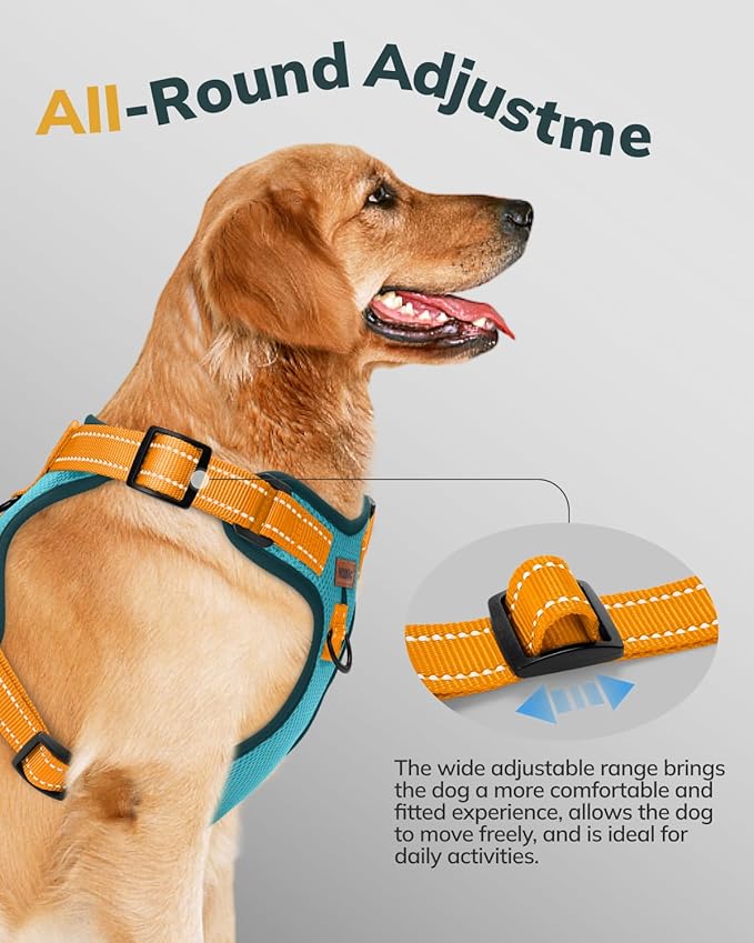 MIDOG No-Pull Dog Harness | Adjustable & Reflective Pet Harness Leash Set for Small Medium Large Dogs Walking, Training| No Choke, Front Clip, Soft Padded Vest with Easy Control Handle - Blue, M