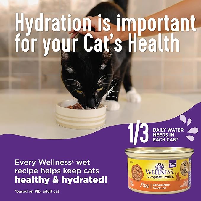 Wellness Complete Health Pate Adult Wet Cat Food, Natural, Protein-Rich, Grain-Free, 3 Ounce, 24 Pack, (Chicken & Herring)