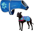 Dog Reflective Vest – Hi-Vis Fluorescent Visibility That Helps to Safeguard Your Pet On/Off Leash in Urban & Rural Areas (Blue, Medium)