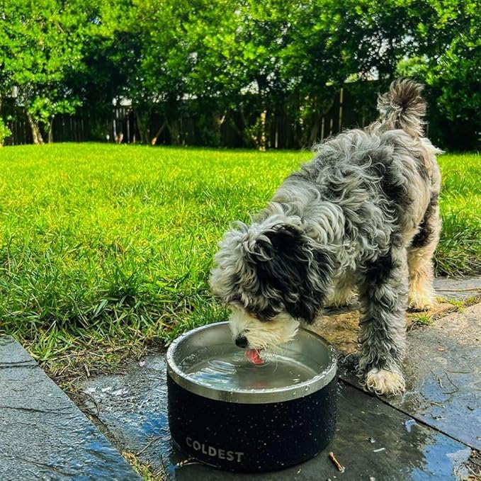 Coldest Dog Bowl - Anti Rust Metal, Non Slip, 3 Layers Insulated Stainless Steel Dog Bowls - Spill Proof & Heavy Duty - Water Bowl for Dogs, Cats & Pets, Dish Washer Safe (64 oz, Solar Yellow)