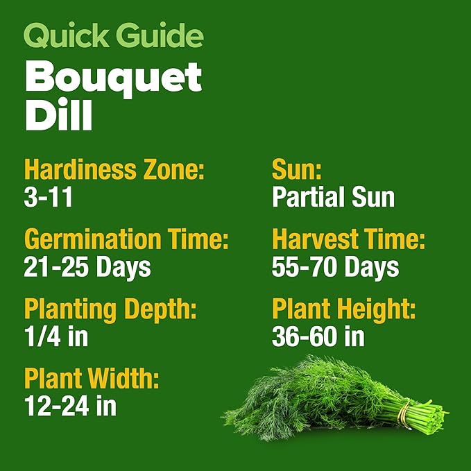 HOME GROWN Dill Seeds 2 Pack (Anethum Graveolens) - 2028 Non-GMO Heirloom Herb Seeds for Planting Indoors or Outdoors, High Germination, Ideal for Herb Gardens, Pots, and Cooking Flavorful Dishes
