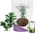 Fiddle Leaf Fig House Plant Soil Premium All Purpose Blend | Large 2.2 Quarts | Ready to Use for Indoor Houseplants | Peat, Sawdust, Course Sand and Pinebark | Made in USA
