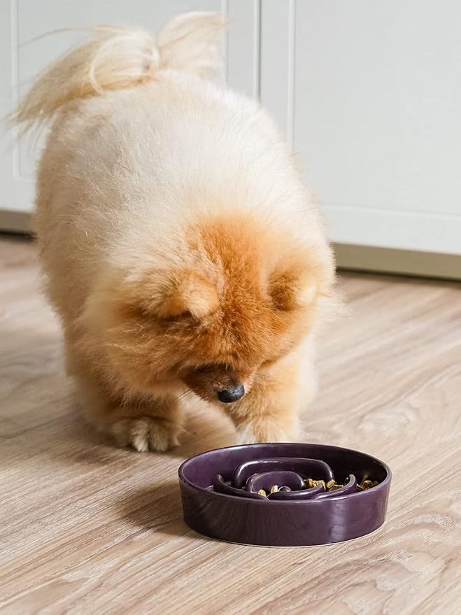 LE TAUCI Ceramic Slow Feeder Dog Bowls Small Breed, 0.6 Cups Dog Food Dish for Fast Eaters, Puzzle Bowl for Small Dogs and Cats,Purple