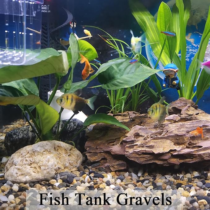 10LB Pea Gravel for Landscaping,1/4 Inch Aquarium Gravel. Decorative River Rocks for Fish Tank Succulent Vase Cactus Bonsai Plant Soil Cover and Outdoor Landscaping Rocks