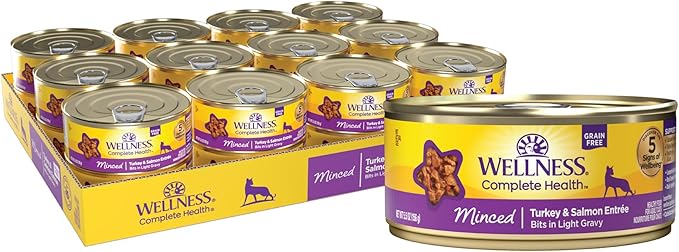Wellness Complete Health Minced Adult Wet Cat Food, Natural, Protein-Rich, Grain Free, 5.5 Ounce, 24 Pack, (Turkey & Salmon Entrée)