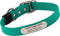 Biothane Custom Dog Collar – Waterproof, Stink-Proof Personalized Collar with Name & Phone Number – Durable, Many Sizes and Colors – Assembled in USA – Assembled in USA (Teal)