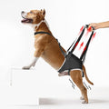 Dog Lift Harness for Small Dogs, Adjustable Rear Leg Support Sling for Hip Dysplasia, Arthritis, Weak Hind Legs, Post-Surgery Recovery, Comfortable & Secure with Sturdy Buckles, S